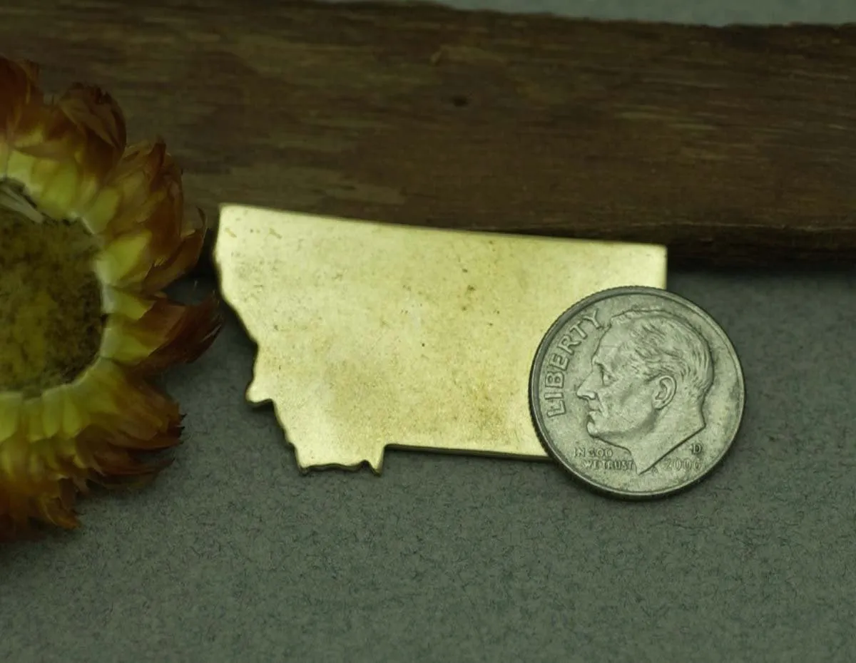 Bronze Montana State Blanks Metalworking Stamping Texturing 100% Bronze Blank - 4 pieces