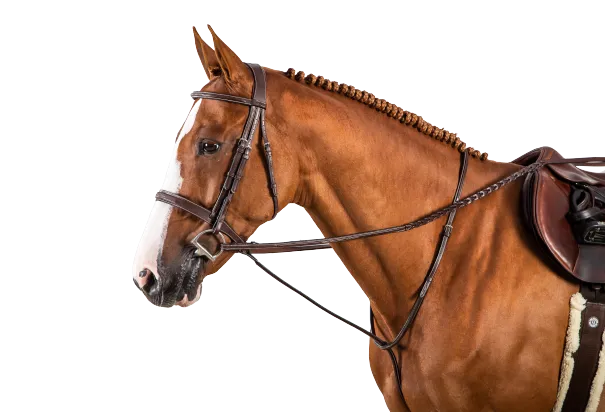 Dy'on Hunter 5/8" Laced Reins US05R