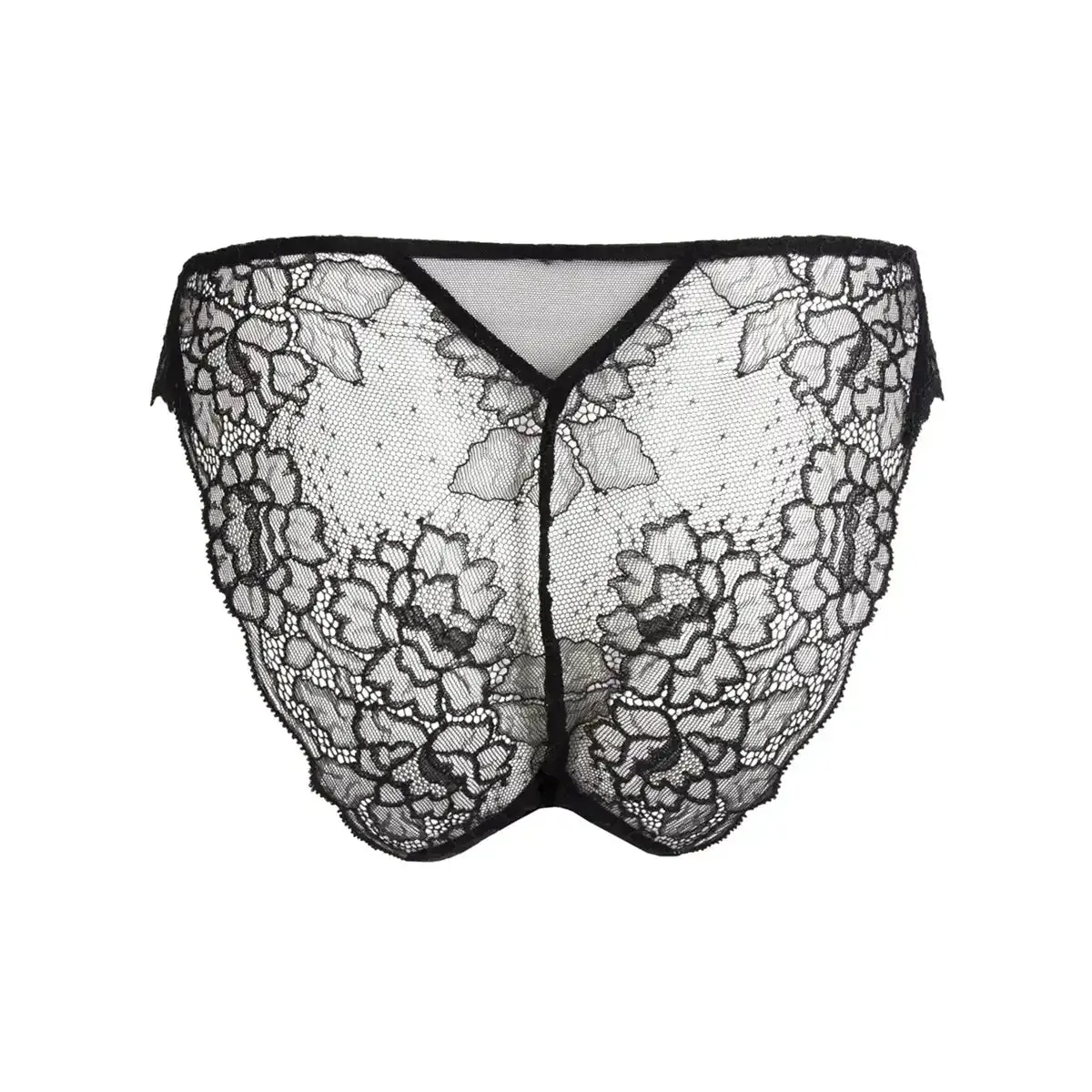 Lise Charmel Sublime en Dentelle Lace Italian Panty