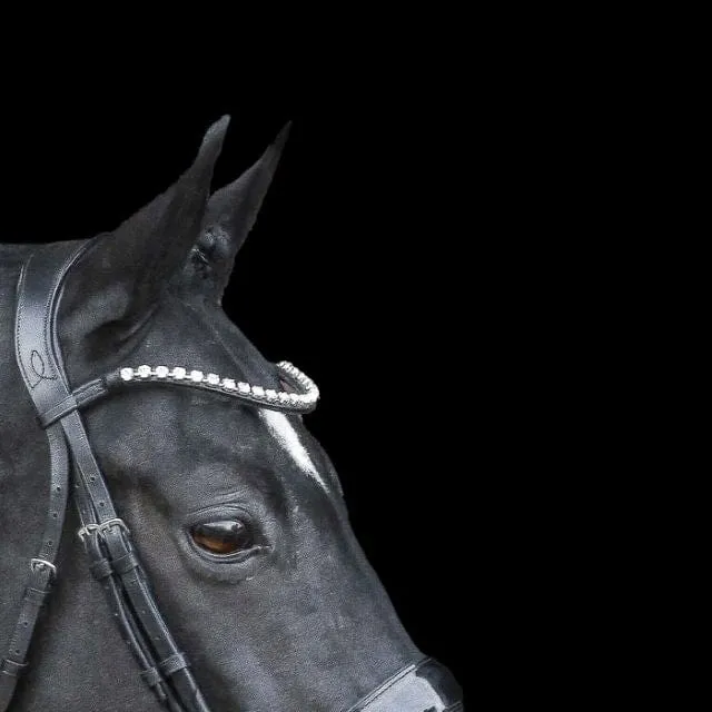 Lumiere Diamante Crystal Browband (L5502)