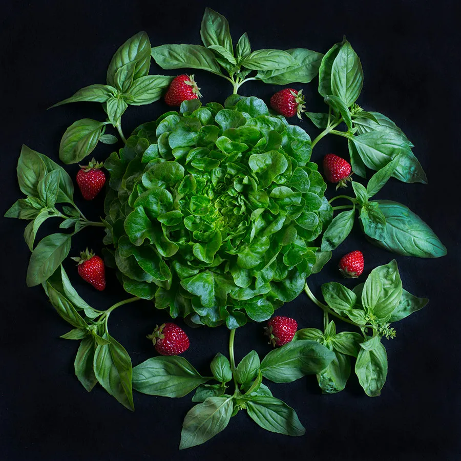 Mandala Fine Art Metal Print, Strawberry and Basil