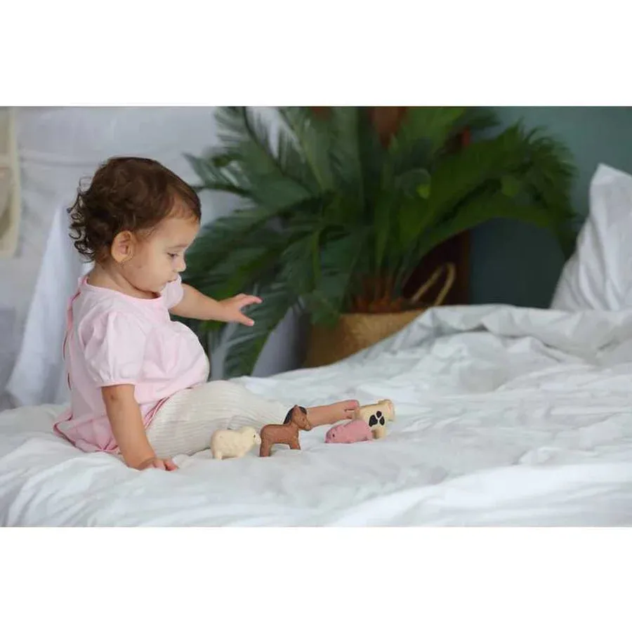 Plan Toys - Farm Animal Set