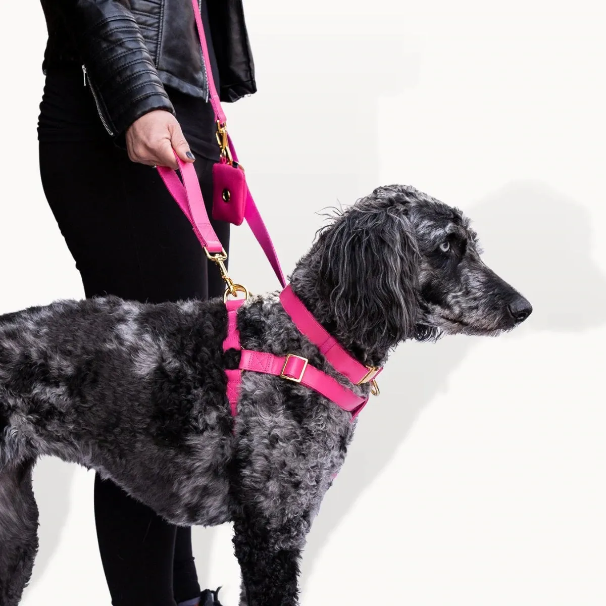 Ripley & Rue - Vegan Leather Dog Harness - Various Colours