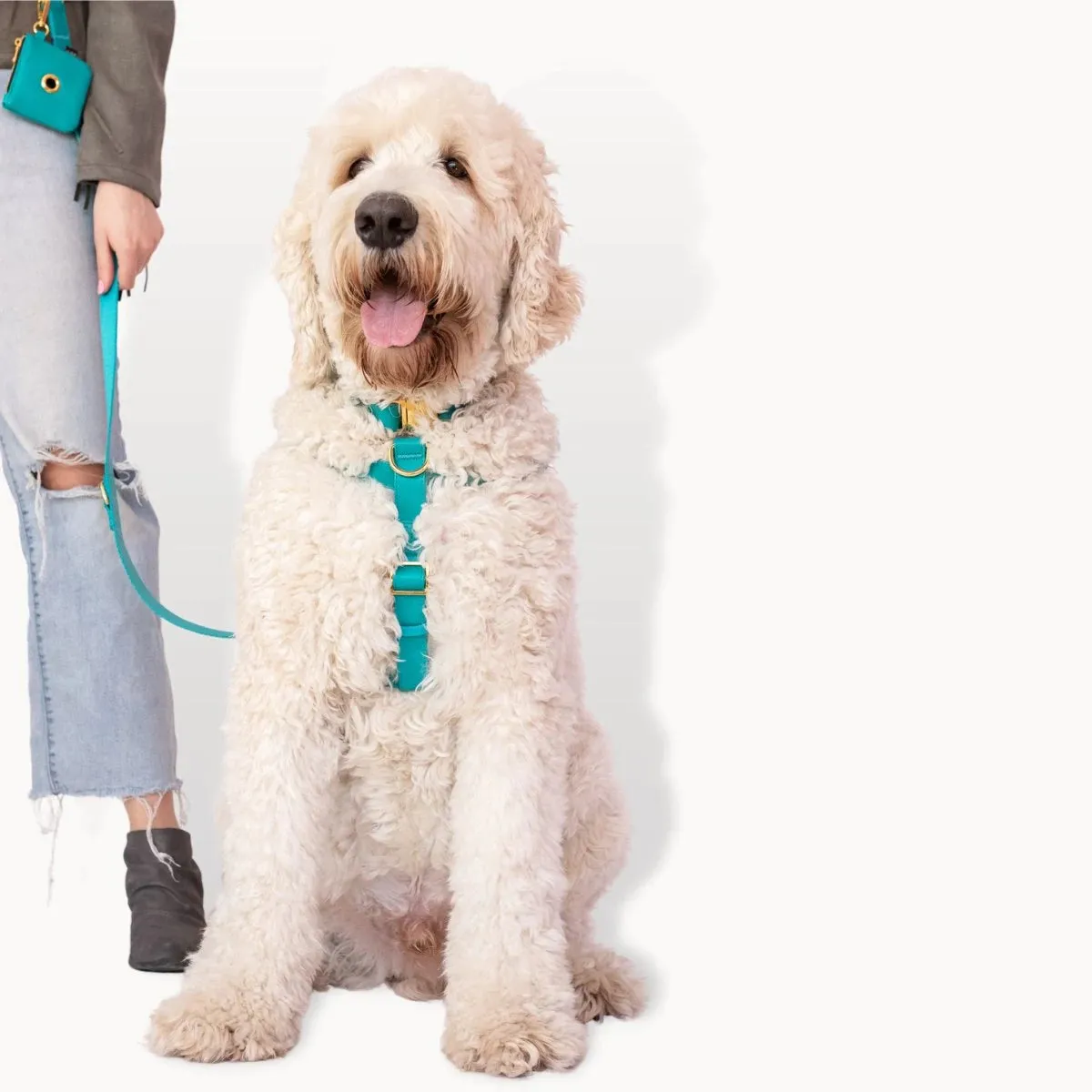 Ripley & Rue - Vegan Leather Dog Harness - Various Colours