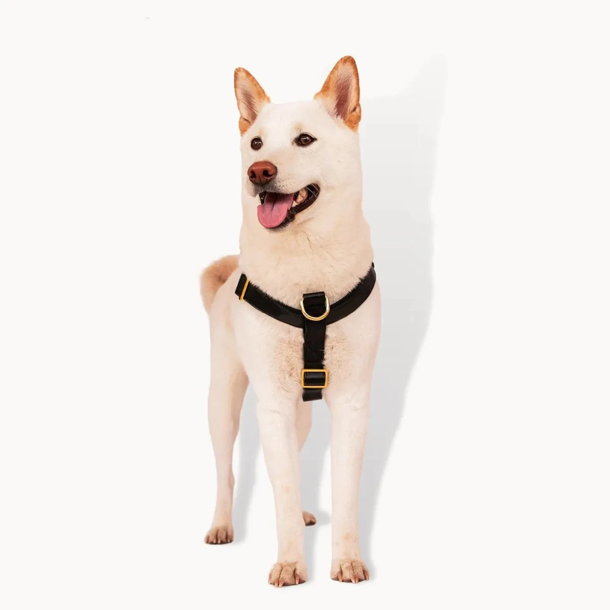Ripley & Rue - Vegan Leather Dog Harness - Various Colours