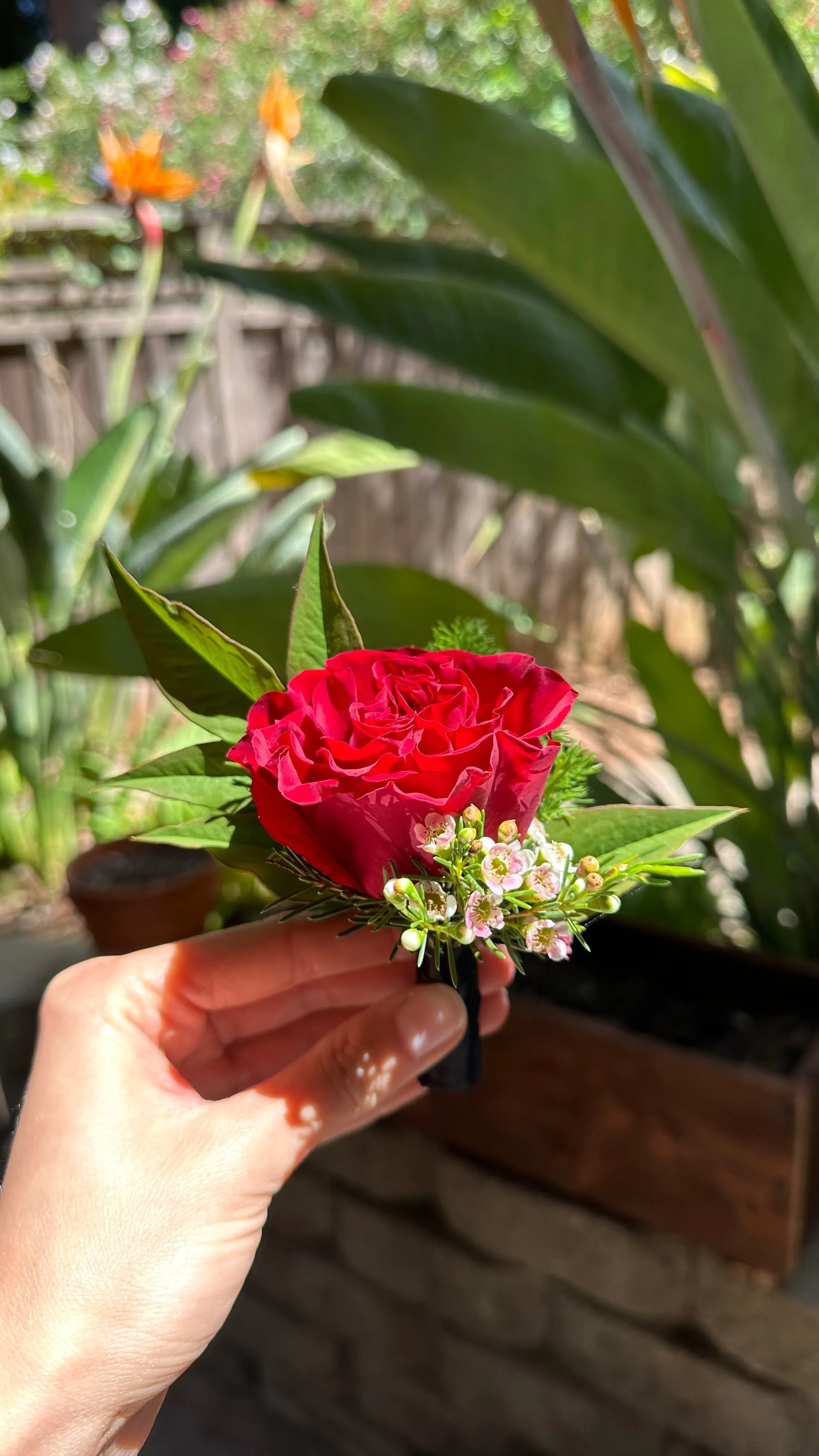 Scarlet Romance Boutonniere