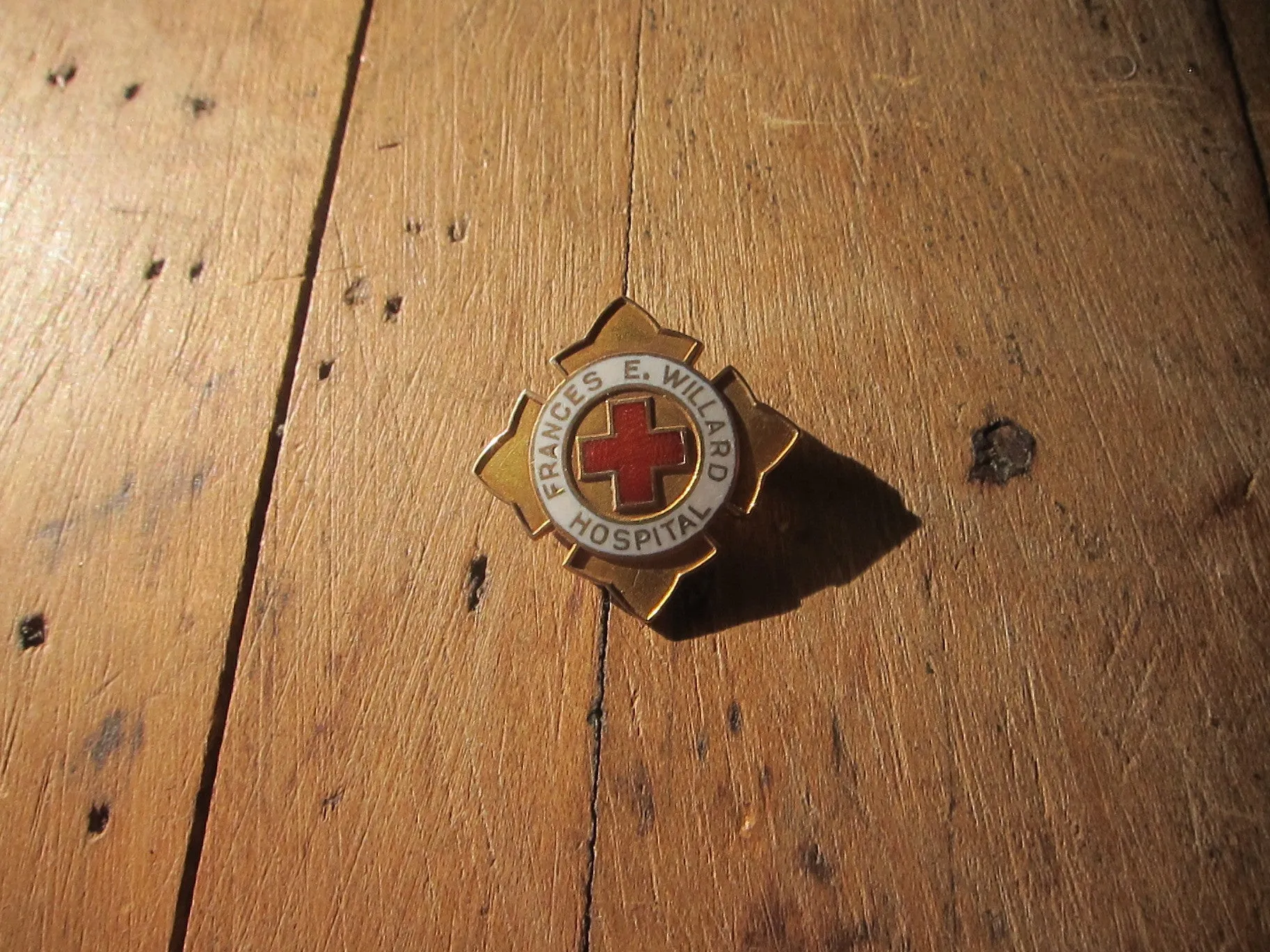 Temperance Movement Frances E Willard Hospital Enamel Pinback Button