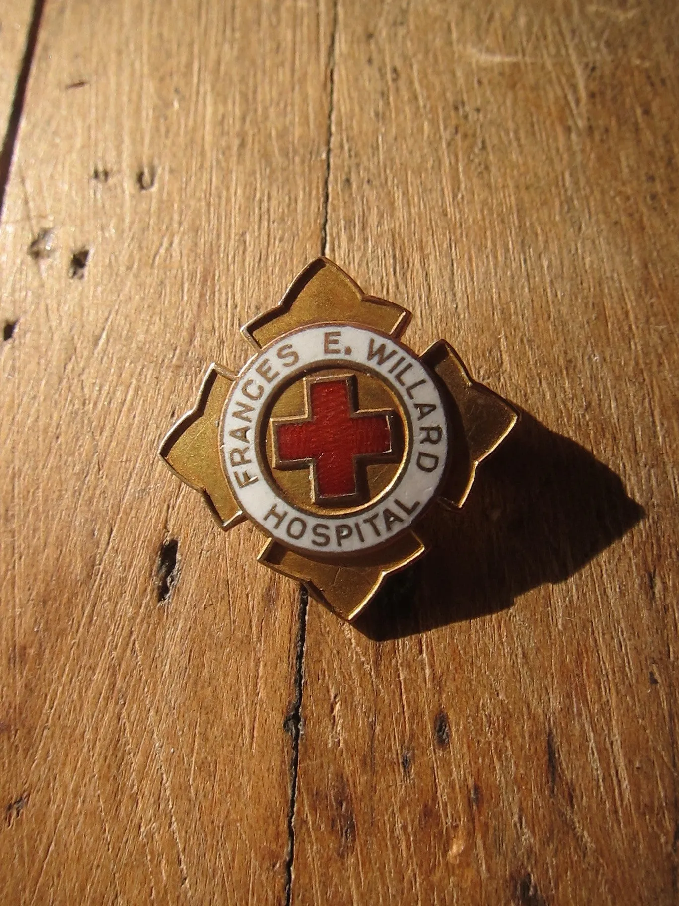 Temperance Movement Frances E Willard Hospital Enamel Pinback Button
