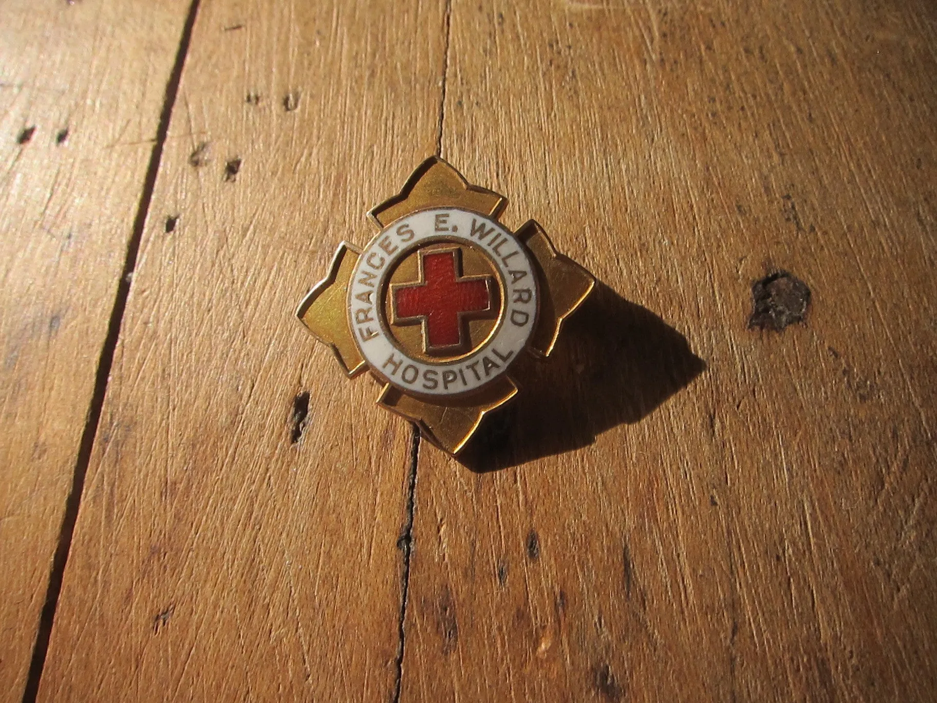 Temperance Movement Frances E Willard Hospital Enamel Pinback Button