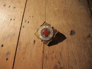 Temperance Movement Frances E Willard Hospital Enamel Pinback Button