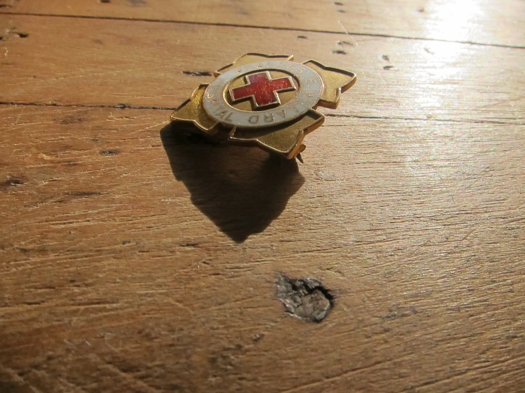 Temperance Movement Frances E Willard Hospital Enamel Pinback Button
