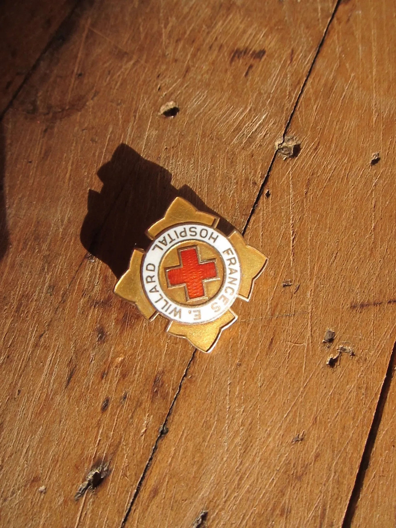 Temperance Movement Frances E Willard Hospital Enamel Pinback Button
