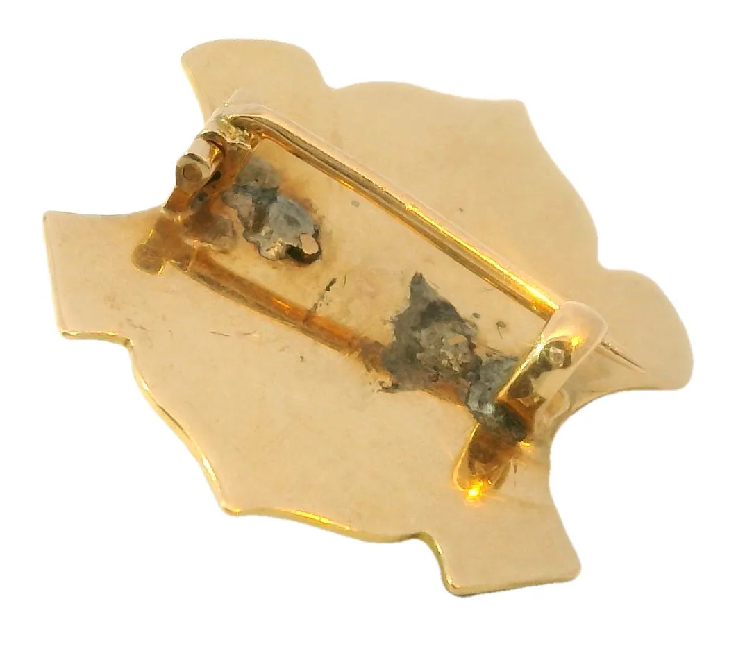 Victorian Antique 14K Yellow Gold Enamel Seed Pearl Intaglio Brooch Pin