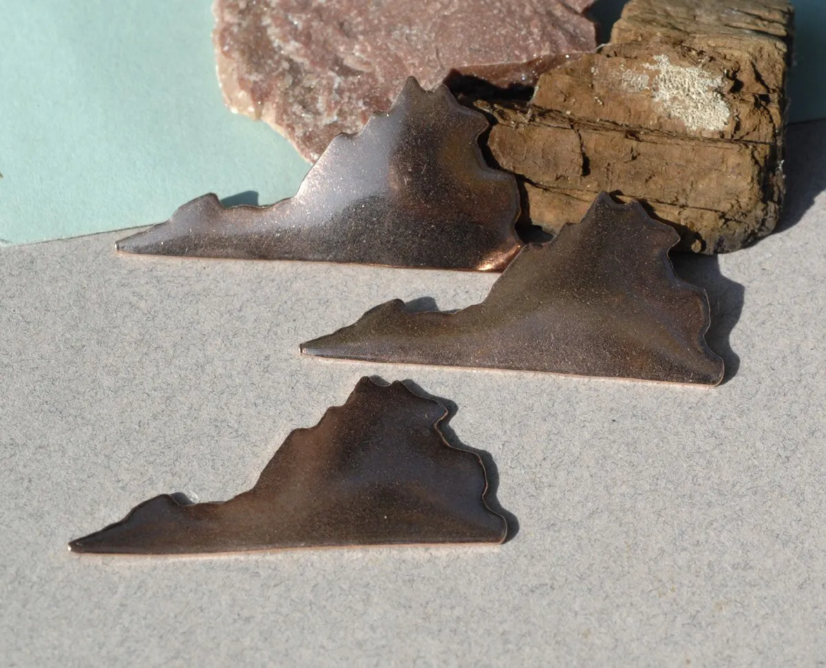 Virginia State Variety of Metals, Blanks Cutout for Metalworking Stamping Texturing Blank - 4 Pieces