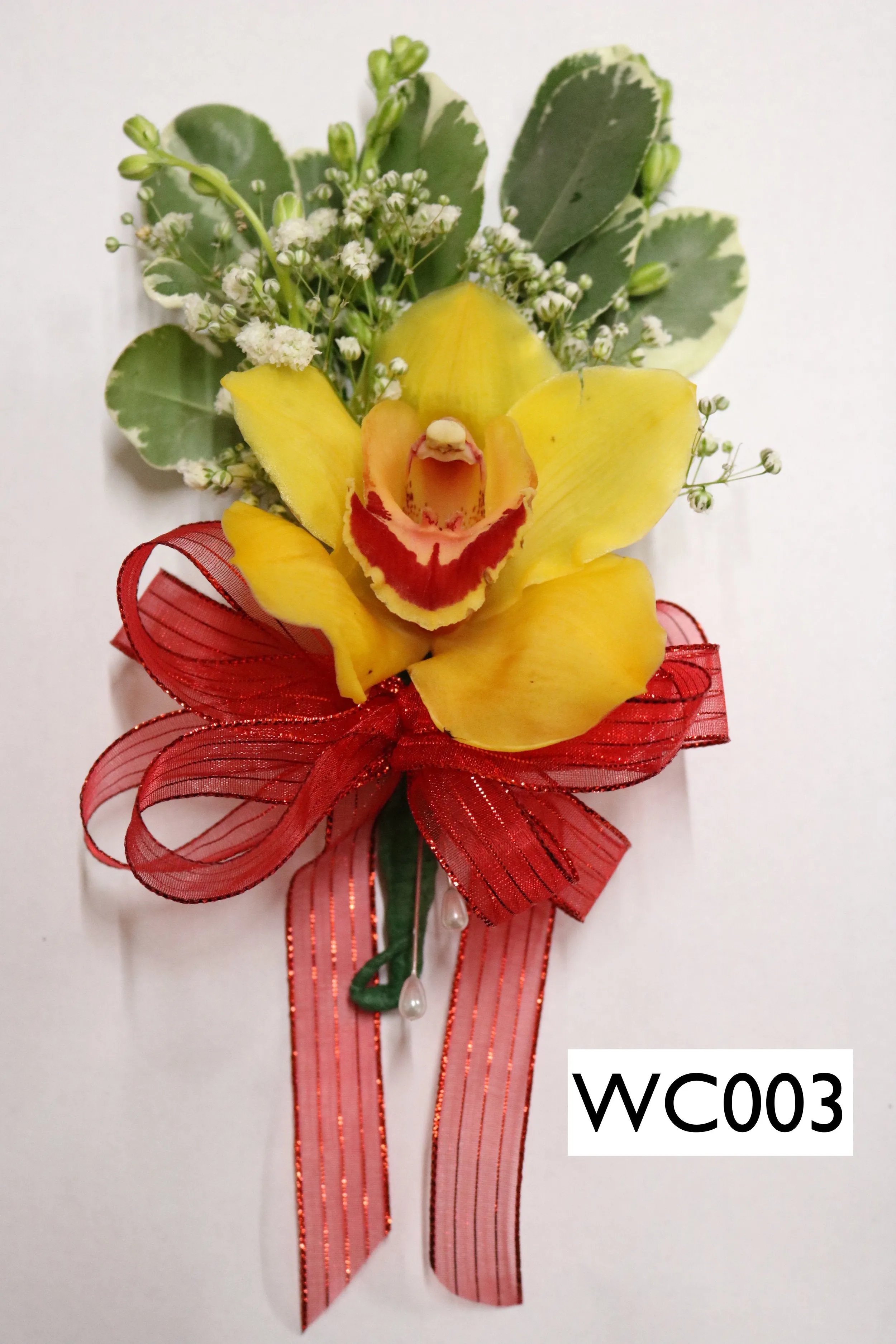 WC003